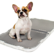This Sleek Briefcase Hides an Easy To Clean Portable Pet Potty